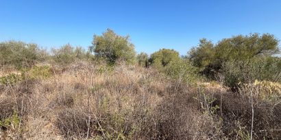 Real Estates picture 4 Ref. 82247