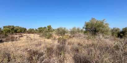 Real Estates picture 3 Ref. 82247