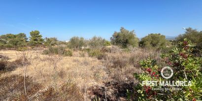 Real Estates picture 2 Ref. 82247