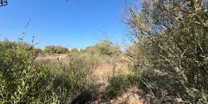 Real Estates picture 6 Ref. 82247