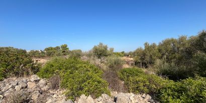 Real Estates picture 5 Ref. 82247