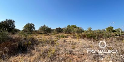 Real Estates picture 2 Ref. 82248