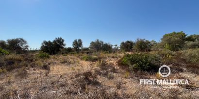 Real Estates picture 1 Ref. 82248