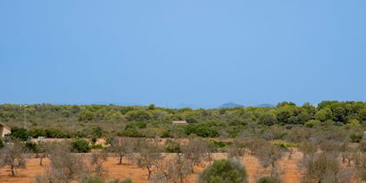 Inmobiliaria picture 10 Ref. Nº. 75416