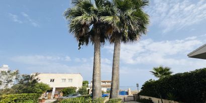 Недвижимость picture 14 Ref R28318