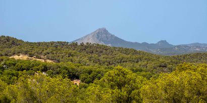 Inmobiliaria picture 4 Ref. Nº. 80267