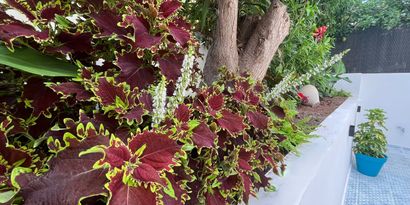 Real Estates picture 9 Ref. 81944