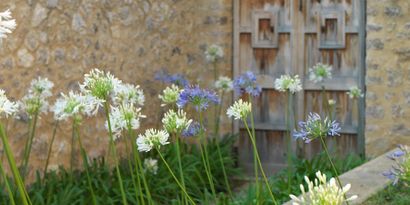 Real Estates picture 1 Ref. R28332