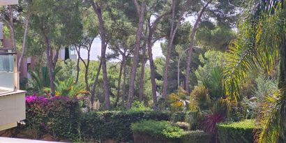 Недвижимость picture 2 Ref 79087