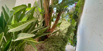 Real Estates picture 24 Ref. R28191