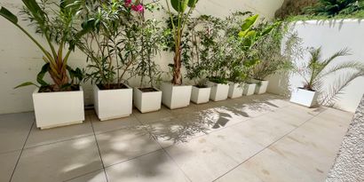 Real Estates picture 21 Ref. R28191