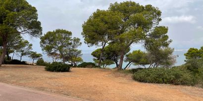 Inmobiliaria picture 19 Ref. Nº. R28380