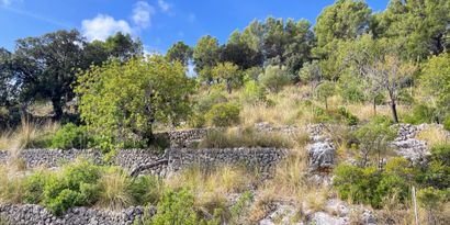 Недвижимость picture 2 Ref R28400