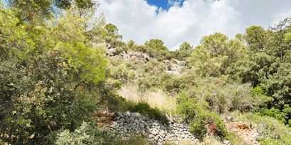Immobilien picture 4 Ref. Nr. 80580