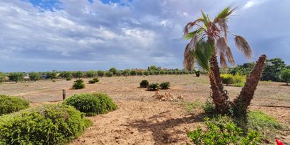 Inmobiliaria picture 29 Ref. Nº. R28403