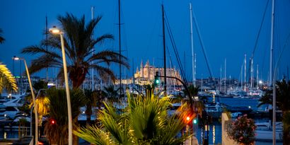 Real Estates picture 20 Ref. 81843