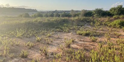 Inmobiliaria picture 8 Ref. Nº. 82390