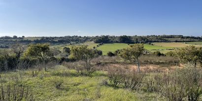 Inmobiliaria picture 5 Ref. Nº. 82390