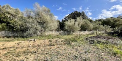 Inmobiliaria picture 9 Ref. Nº. 82390