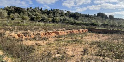 Inmobiliaria picture 7 Ref. Nº. 82390