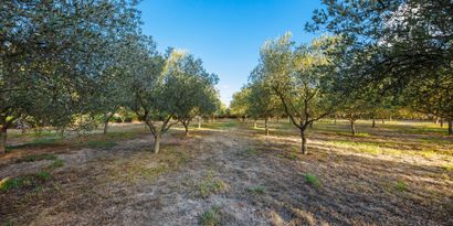 Inmobiliaria picture 24 Ref. Nº. 82287