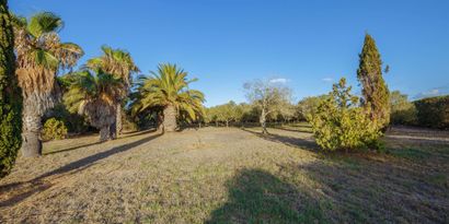 Inmobiliaria picture 26 Ref. Nº. 82287