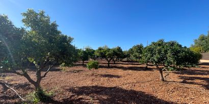 Immobilien picture 12 Ref. Nr. 82434