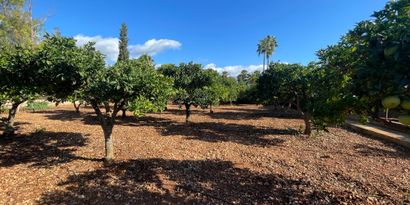 Immobilien picture 11 Ref. Nr. 82434