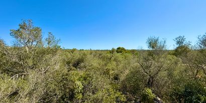 Immobilien picture 9 Ref. Nr. 82476