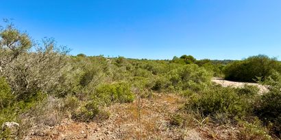 Immobilien picture 10 Ref. Nr. 82476