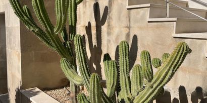 Inmobiliaria picture 23 Ref. Nº. R28473