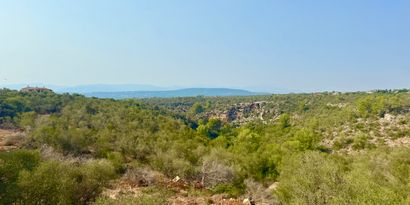 Real Estates picture 1 Ref. 82479