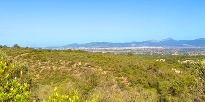 Immobilien picture 1 Ref. Nr. 82477