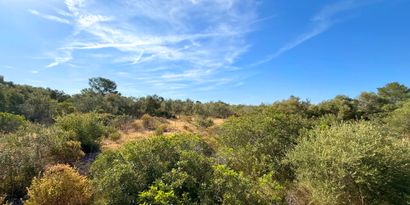 Immobilien picture 2 Ref. Nr. 82477