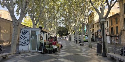 Real Estates picture 0 Ref. R28500