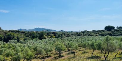 Real Estates picture 4 Ref. R27594