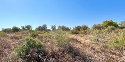 Immobilien picture 0 Ref. Nr. 82453