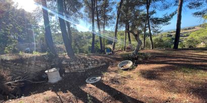 Inmobiliaria picture 1 Ref. Nº. 82563