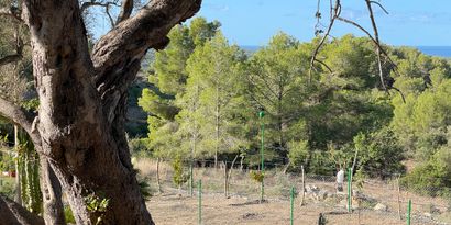 Inmobiliaria picture 2 Ref. Nº. 82563