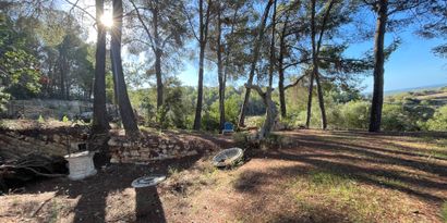 Inmobiliaria picture 3 Ref. Nº. 82563