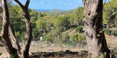 Inmobiliaria picture 5 Ref. Nº. 82563