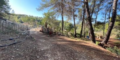 Inmobiliaria picture 4 Ref. Nº. 82563