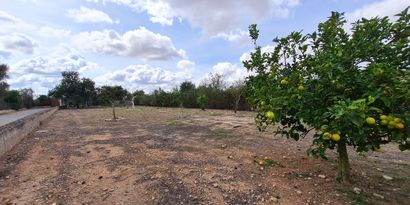 Real Estates picture 11 Ref. 82519