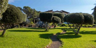 Inmobiliaria picture 6 Ref. Nº. 82493