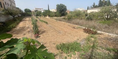 Inmobiliaria picture 0 Ref. Nº. 82328