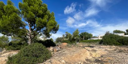 Inmobiliaria picture 2 Ref. Nº. 82571