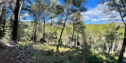 Inmobiliaria picture 5 Ref. Nº. 82448