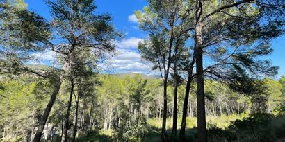 Inmobiliaria picture 3 Ref. Nº. 82448