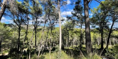 Inmobiliaria picture 2 Ref. Nº. 82448