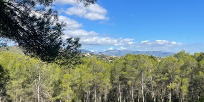 Inmobiliaria picture 0 Ref. Nº. 82448